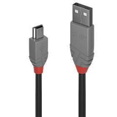 Kabelis Usb2 A Uz Mini-B 2M/Anthra 36723 Lindy
