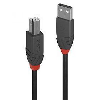 Kabelis Usb2 A-B 10M/Anthra 36677 Lindy