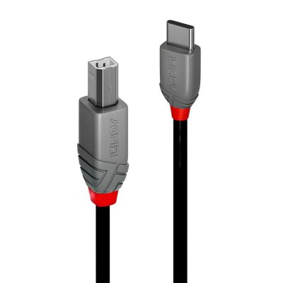 Kabelis Usb2 C-B 1M/Anthra 36941 Lindy