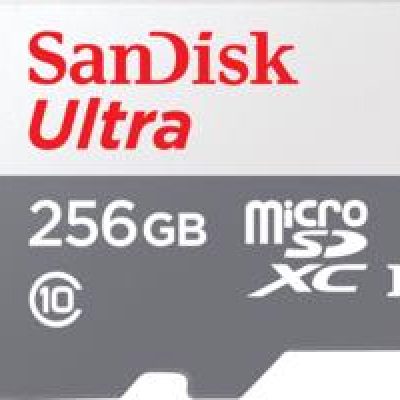 Atmiņas Micro Sdxc 256Gb Uhs-I/Sdsqunr-256G-Gn6Ta Sandisk